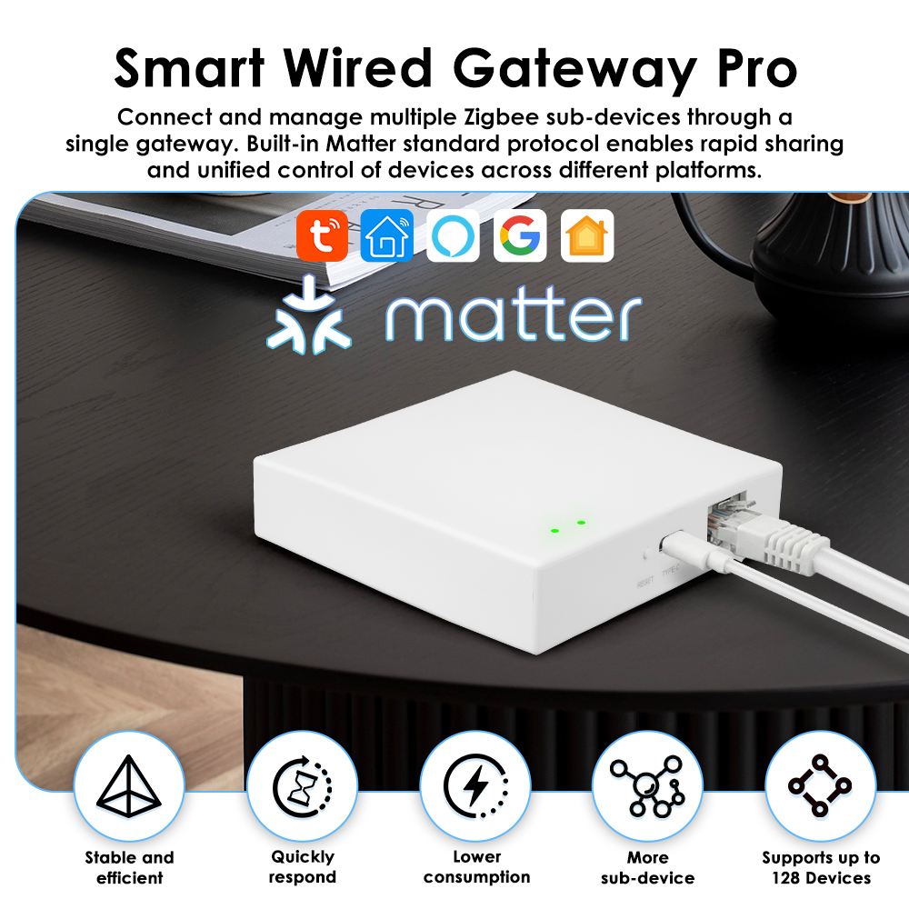 Tuya Zigbee Matter Kabelgebund – Smart Home Offline System Bewertung und Preis