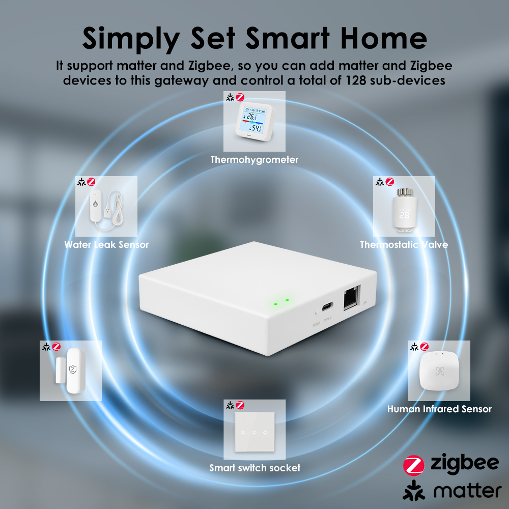 Tuya Zigbee Matter Kabelgebund – Smart Home Offline System Bewertung und Preis