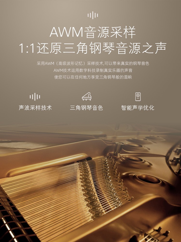 Grand Piano 88-Tasten-gewichte – Smart Home Key Bewertung und Preis