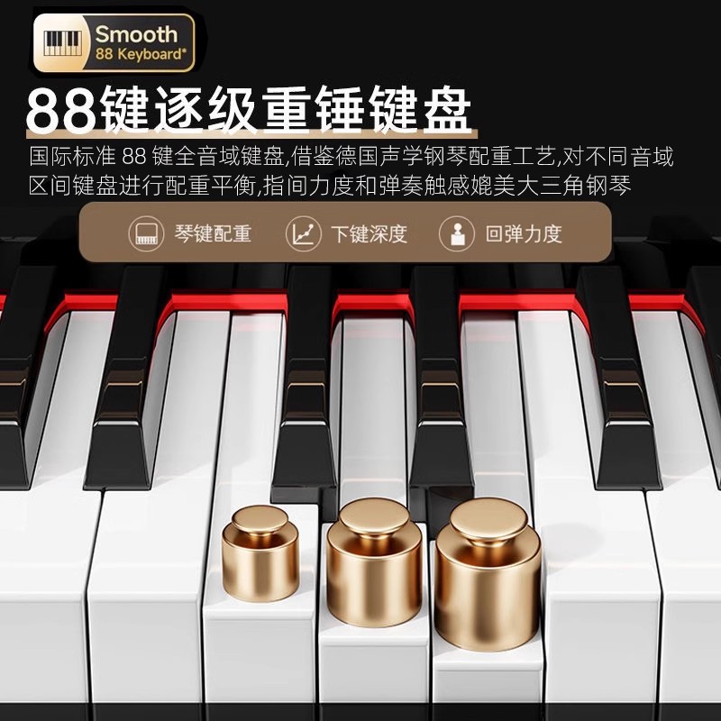 Grand Piano 88-Tasten-gewichte – Smart Home Key Bewertung und Preis