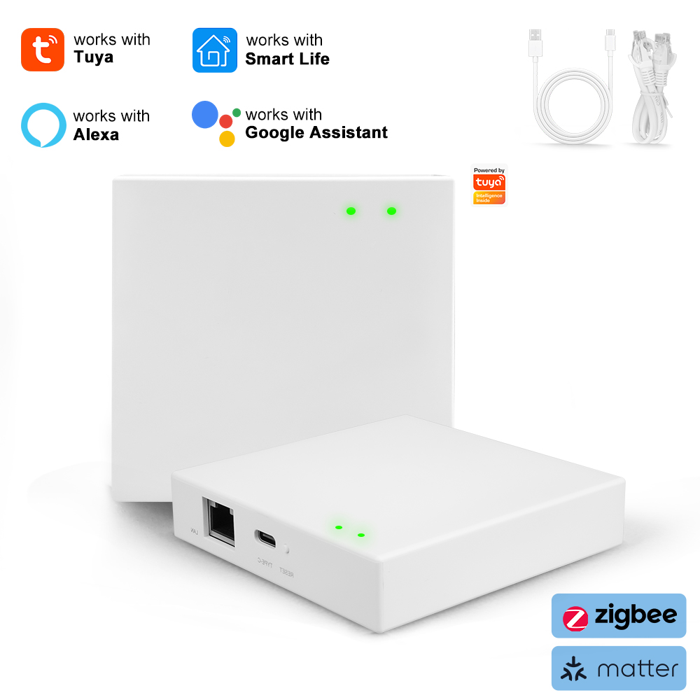 Tuya Zigbee Matter Kabelgebund – Smart Home Offline System Bewertung und Preis
