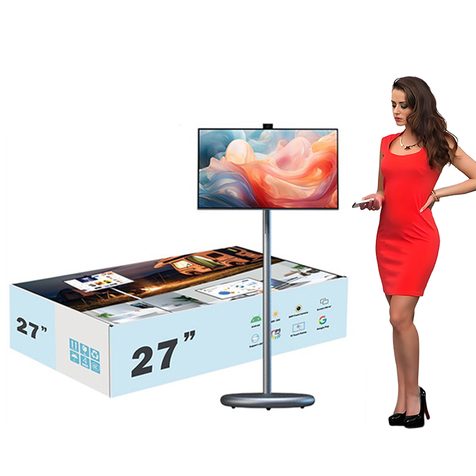 Intelligentes Tragbares TV-Dis – Smart Home Tv Bewertung und Preis