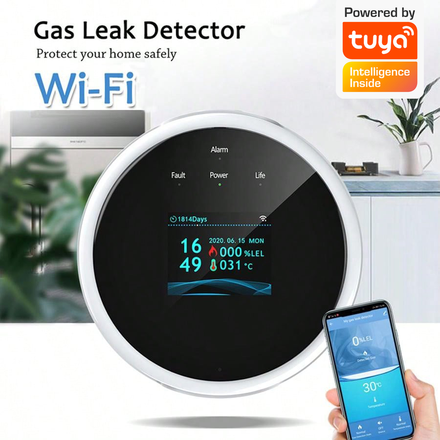 2,4G WiFi Gasalarm-Sensor, Det – Smart Home Ecosystems Bewertung und Preis