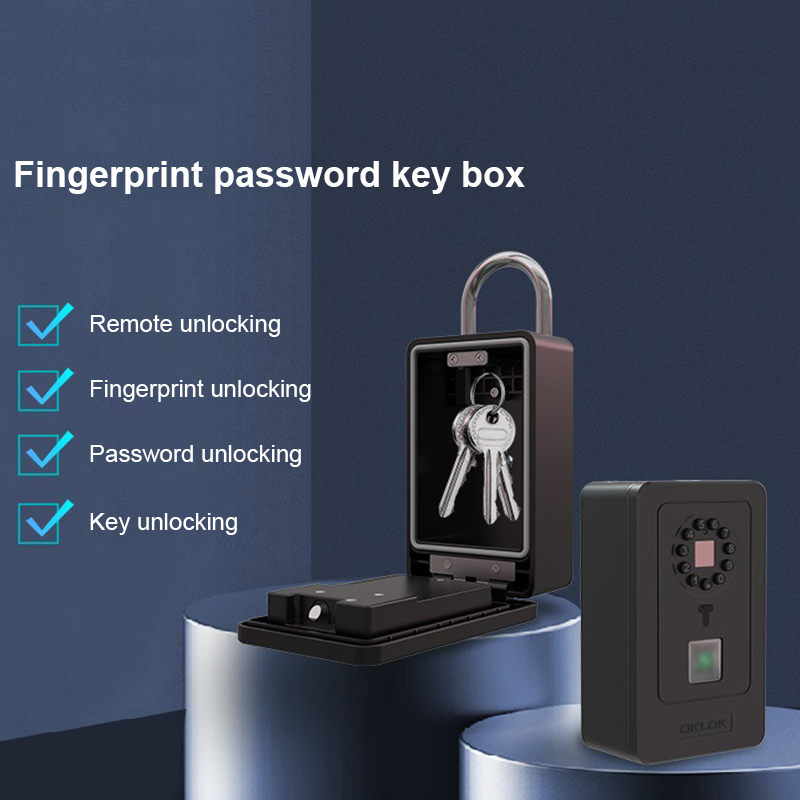Intelligentes Vorhängeschloss  – Smart Home Key Bewertung und Preis